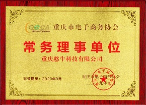 重庆市电子商务协会：常务理事单位