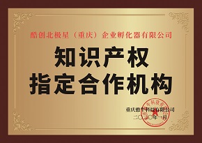 知识产权指定合作机构