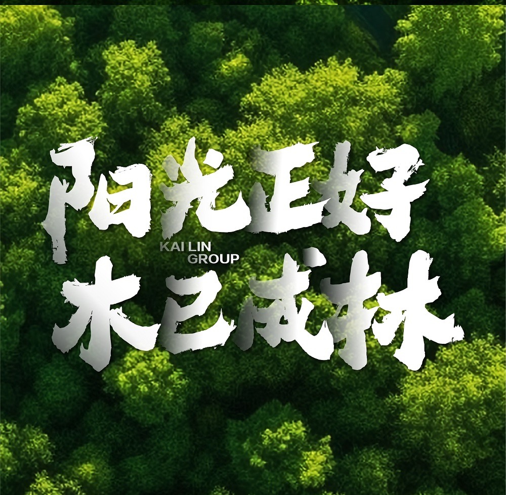 阳光正好 木已成林 | 开林集团2023宣传片正式发布！